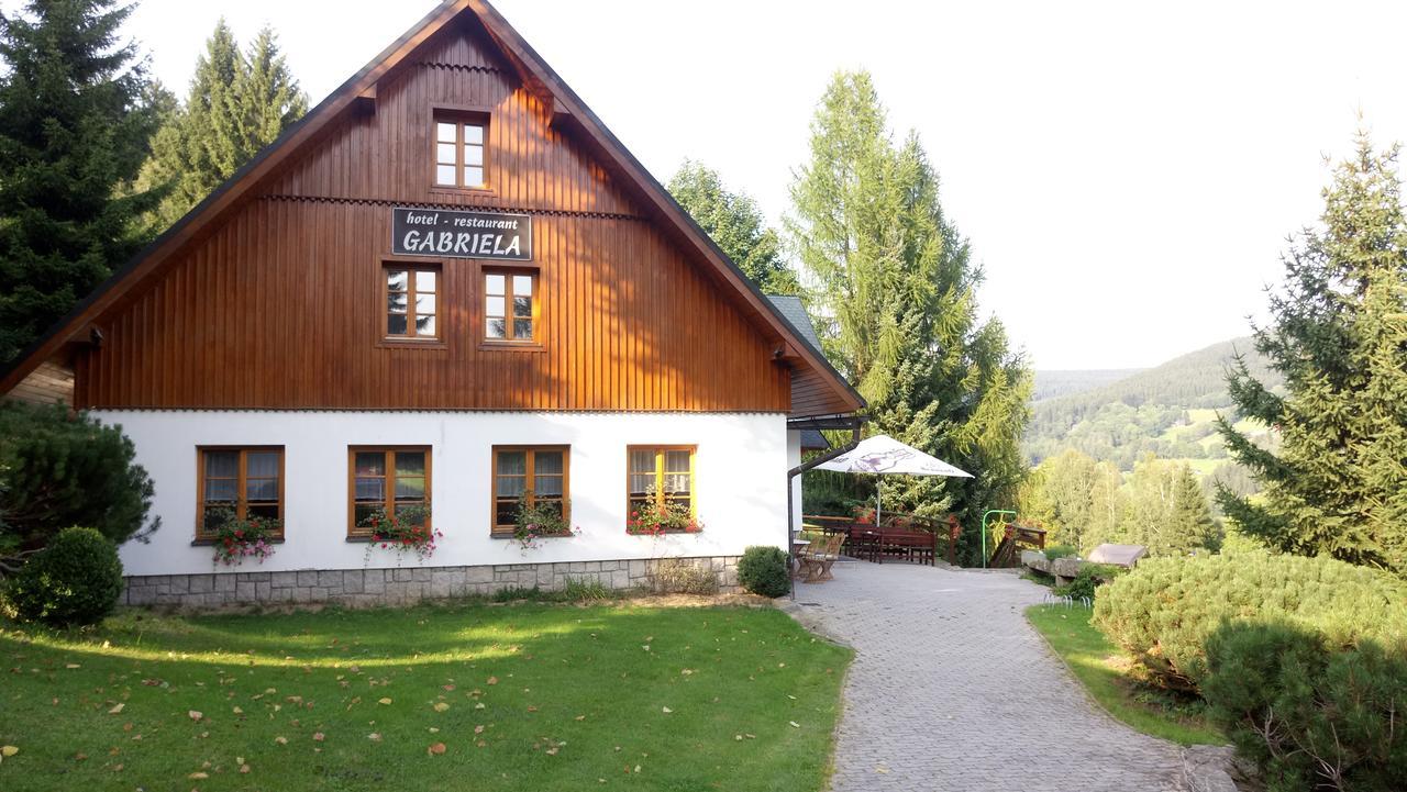 Hotel Gabriela Vitkovice Exterior photo